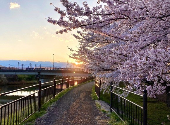 地方のDXは、戦略ではなく、関係から始めるのが良い